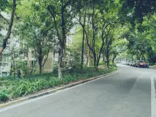 南坪东路 海棠晓月A区四房275万