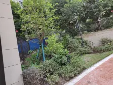 石坪桥 保利爱尚里尚美四房128万