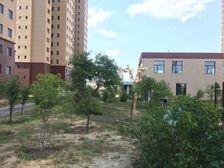 新上菁英国际小区 精装大三居 价格美丽 看房方便