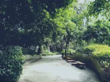 浦辉海棠晓月A区 1室2厅 东南