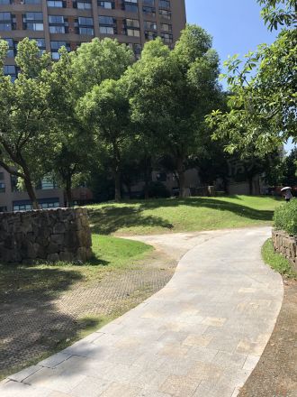 西港新界公寓实景图