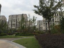 此房户型好,釆光也好,交通位置便利,小区环境好,