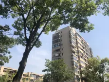 华侨城,x缺联排别墅,边套C字大花园,带产权车位