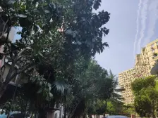 诚意出售,满五且一,诚意出售。