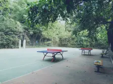 南坪东路 海棠晓月A区二房116万