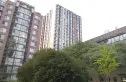 风荷曲苑实景图