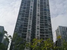 九公里轻轨旁,精装三房,采光视野好