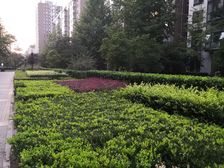 风荷曲苑满五年落地窗视野开阔无遮挡