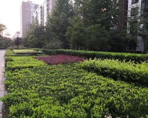 风荷曲苑满五年落地窗视野开阔无遮挡