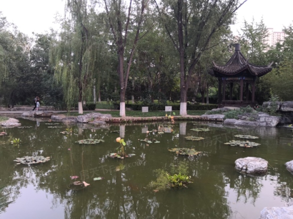 风荷曲苑实景图