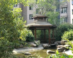 巨成广场金山街南北通透,采光好周边匹套完善,,出行方便
