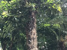 新上 电梯房 南北通 一房一厅 精装修 位置好 随时看房