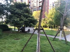 房子还在卖,看房联系 户型端正