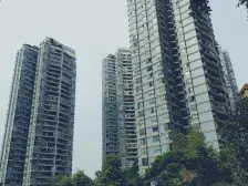 浦辉海棠晓月C区 3室2厅 东南