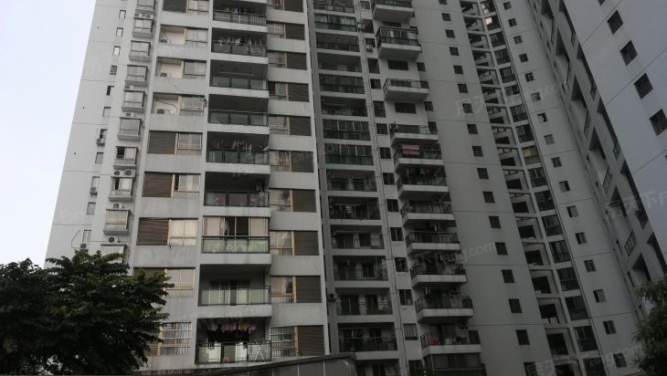 滨海阳光实景图