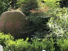 电梯房,带飘窗,景观房,环境优美,交通便利,居家装修,精装好房