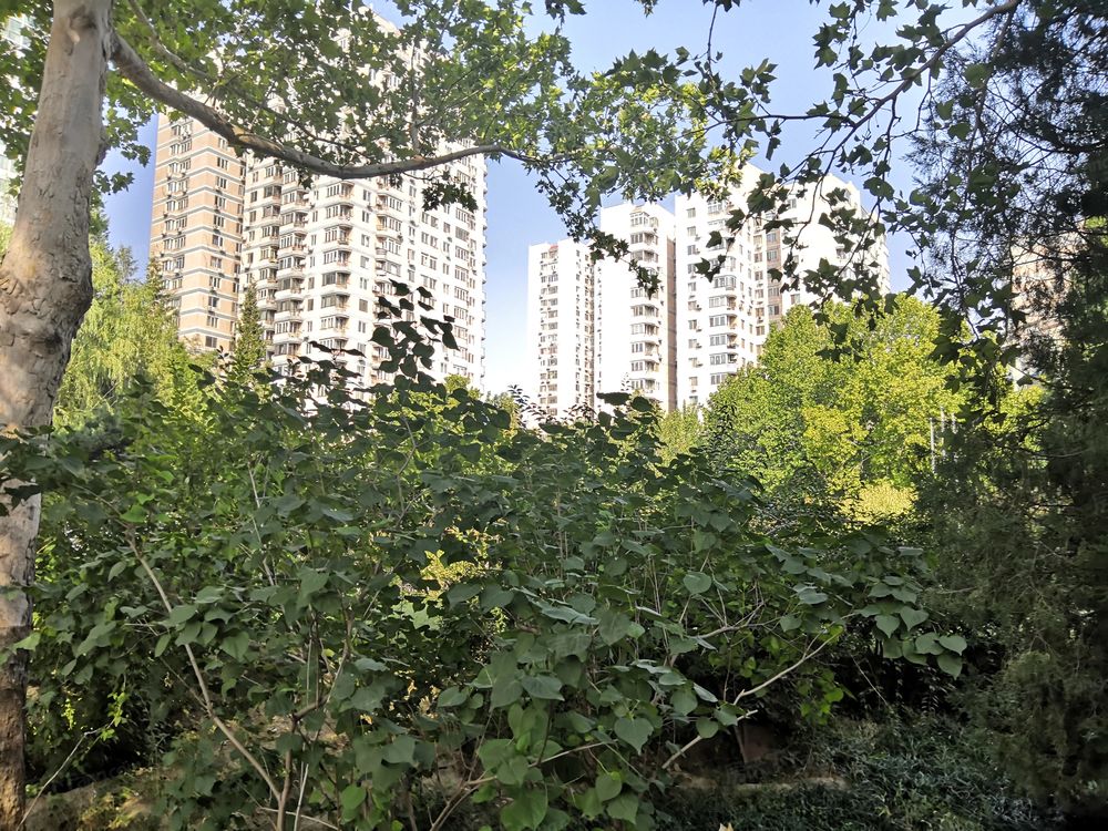 小区相关图
