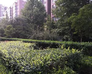 风荷曲苑带电梯两居室车位充足