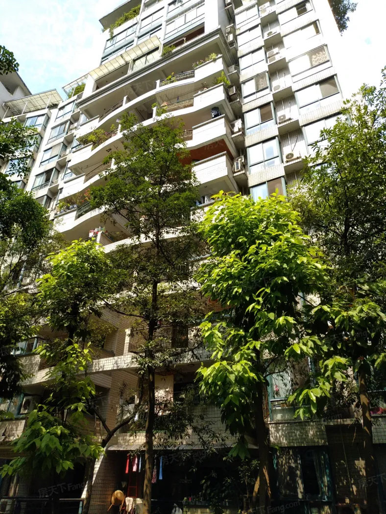 海棠晓月a区实景图