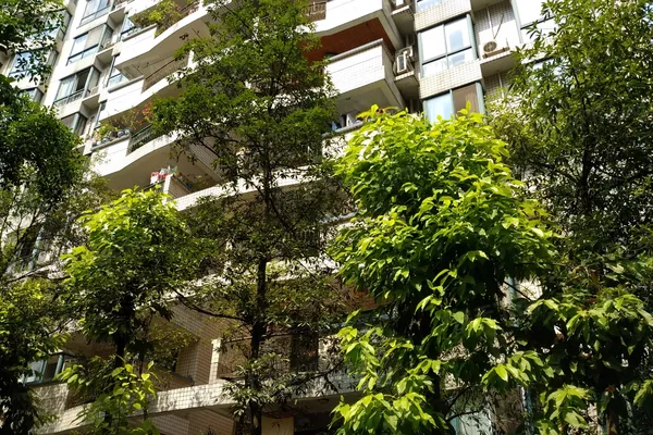 【重庆海棠晓月a区小区,二手房,租房】- 重庆房天下