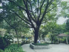 海棠晓月A区大户型5房可看江 业主急售随时看