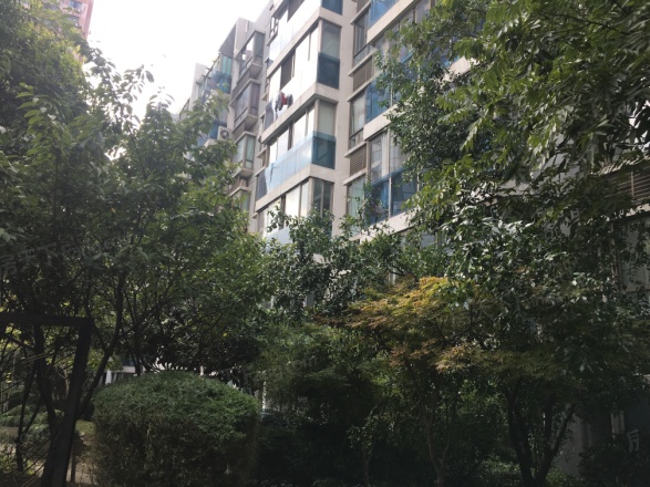 上海之春公寓