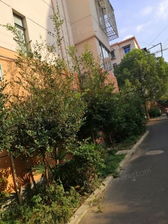 成山路648弄小区实景图