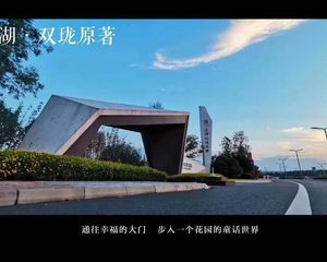 龙湖双珑原著4室2厅南北