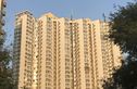 百环家园实景图