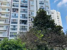 近地铁,中间楼层 刚需上车,电梯房 店长力推