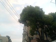 2000年小区南北边套两房,满五年价格好沟通,复旦九年书包