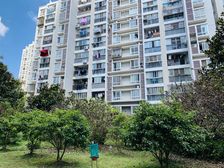 电梯房,现场实勘家具全送,业主诚意