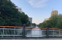 半岛名邸实景图