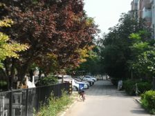 《户型方正》《采光视野好》《可露天烧烤》