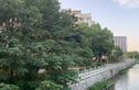 半岛名邸实景图