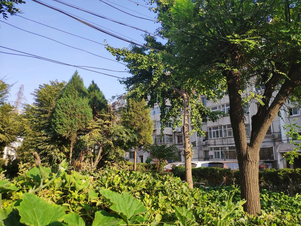 小区相关图