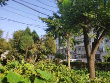长丰园三区3室2厅南北