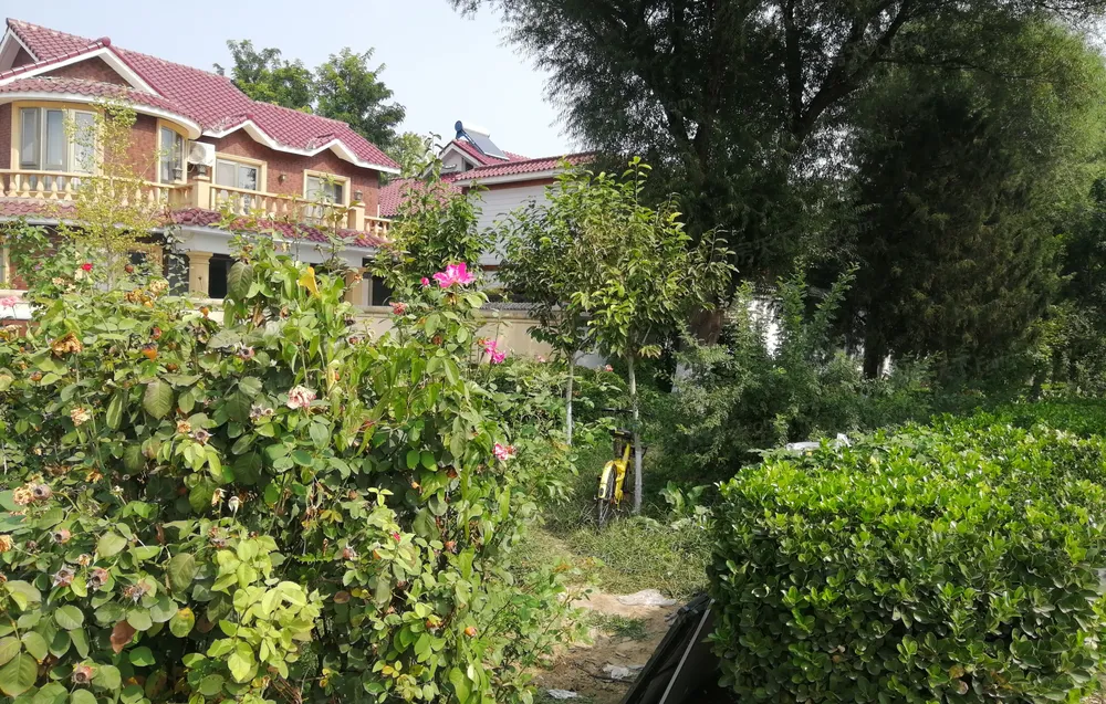 王府花园小区租房,一室一厅,昌平北七家王府花园 0中介 家具齐全 周边