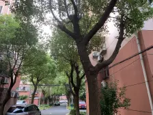 近12号线虹莘路站,虹莘新村南区,婚房装修,温馨2房