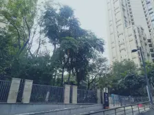 东原1891 1室1厅 西北