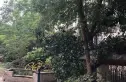 奥韵康城实景图