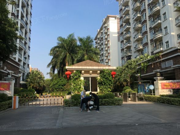 北艺·橄榄苑商住楼实景图