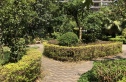 中茵丽景星城实景图