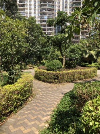 中茵丽景星城实景图