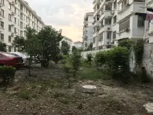 新上架房源 业主诚意出售 看房一般都比较方便的