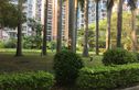 北艺·橄榄苑商住楼实景图