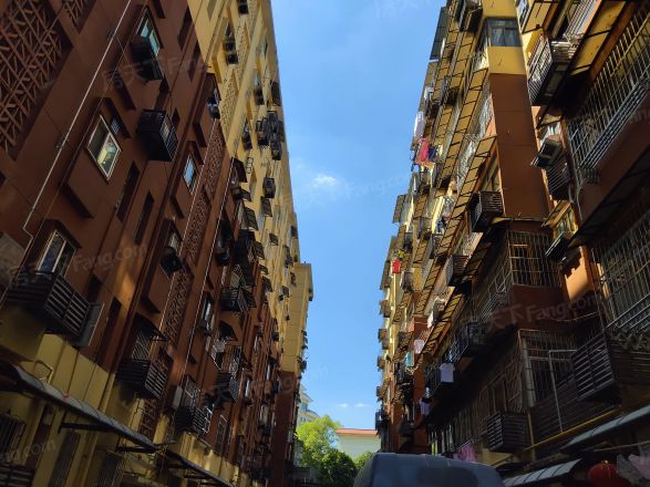爱国路236号实景图