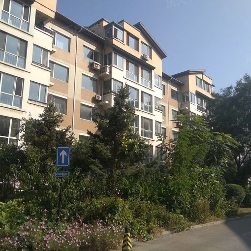  ��㶫��ٳ��1��1��1���ϳ���1450.00Ԫ/�³��� 