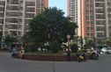 东峰广场实景图