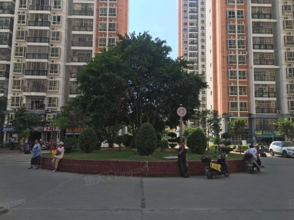 东峰广场实景图